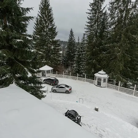 Freeman-3b - двоповерховий у з альтанкою та грилем для 6 гостей *