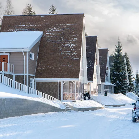 Freeman-3b - двоповерховий у з альтанкою та грилем для 6 гостей *