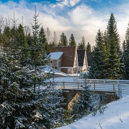 Freeman-3b - двоповерховий у з альтанкою та грилем для 6 гостей * Μπούκοβελ