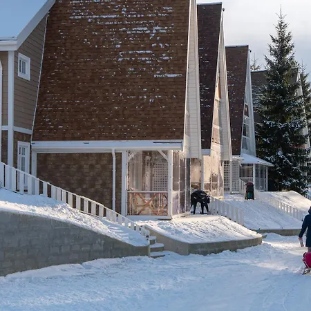 Freeman-3b - двоповерховий у з альтанкою та грилем для 6 гостей Bukovel