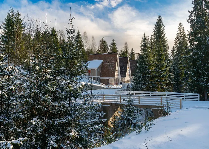 Freeman-3b двоповерховий з кухнею, альтанкою, грилем 6місний * Bukovel