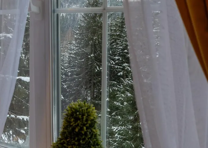 Freeman-3b двоповерховий з кухнею, альтанкою, грилем 6місний *